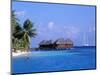 Maldive Islands, Indian Ocean-Calum Stirling-Mounted Photographic Print