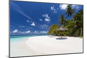 Maldives beach, lagoon and palm trees, The Maldives, Indian Ocean, Asia-Sakis Papadopoulos-Mounted Photographic Print