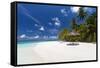 Maldives beach, lagoon and palm trees, The Maldives, Indian Ocean, Asia-Sakis Papadopoulos-Framed Stretched Canvas