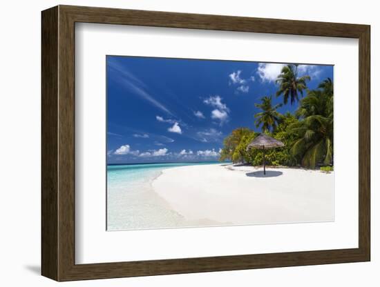 Maldives beach, lagoon and palm trees, The Maldives, Indian Ocean, Asia-Sakis Papadopoulos-Framed Photographic Print