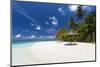 Maldives beach, lagoon and palm trees, The Maldives, Indian Ocean, Asia-Sakis Papadopoulos-Mounted Photographic Print