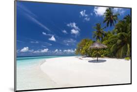 Maldives beach, lagoon and palm trees, The Maldives, Indian Ocean, Asia-Sakis Papadopoulos-Mounted Photographic Print