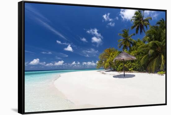 Maldives beach, lagoon and palm trees, The Maldives, Indian Ocean, Asia-Sakis Papadopoulos-Framed Stretched Canvas