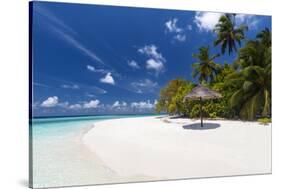 Maldives beach, lagoon and palm trees, The Maldives, Indian Ocean, Asia-Sakis Papadopoulos-Stretched Canvas