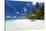 Maldives beach, lagoon and palm trees, The Maldives, Indian Ocean, Asia-Sakis Papadopoulos-Stretched Canvas