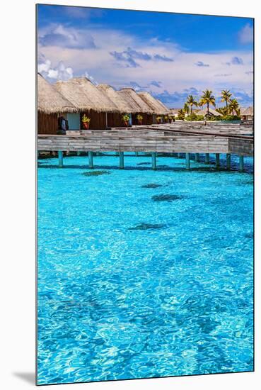 Maldives Bungalows &Blue Water-null-Mounted Premium Giclee Print