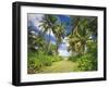 Maldives, Coconut Palms-Thonig-Framed Photographic Print