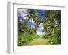 Maldives, Coconut Palms-Thonig-Framed Photographic Print