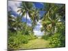 Maldives, Coconut Palms-Thonig-Mounted Photographic Print