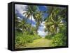 Maldives, Coconut Palms-Thonig-Framed Stretched Canvas