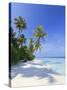 Maldives, Faafu Atoll, Filitheyo Island-Michele Falzone-Stretched Canvas