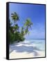 Maldives, Faafu Atoll, Filitheyo Island-Michele Falzone-Framed Stretched Canvas