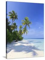 Maldives, Faafu Atoll, Filitheyo Island-Michele Falzone-Stretched Canvas