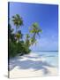 Maldives, Faafu Atoll, Filitheyo Island-Michele Falzone-Stretched Canvas