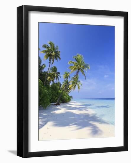 Maldives, Faafu Atoll, Filitheyo Island-Michele Falzone-Framed Photographic Print