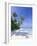 Maldives, Faafu Atoll, Filitheyo Island-Michele Falzone-Framed Photographic Print