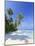 Maldives, Faafu Atoll, Filitheyo Island-Michele Falzone-Mounted Photographic Print