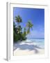 Maldives, Faafu Atoll, Filitheyo Island-Michele Falzone-Framed Photographic Print