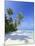 Maldives, Faafu Atoll, Filitheyo Island-Michele Falzone-Mounted Photographic Print