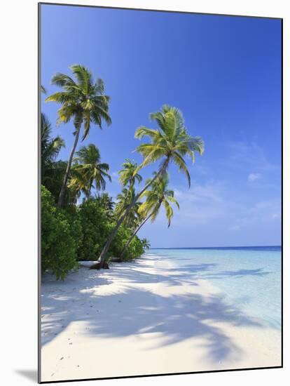 Maldives, Faafu Atoll, Filitheyo Island-Michele Falzone-Mounted Photographic Print