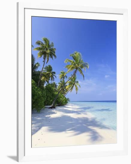 Maldives, Faafu Atoll, Filitheyo Island-Michele Falzone-Framed Photographic Print