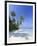 Maldives, Faafu Atoll, Filitheyo Island-Michele Falzone-Framed Photographic Print