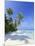 Maldives, Faafu Atoll, Filitheyo Island-Michele Falzone-Mounted Photographic Print