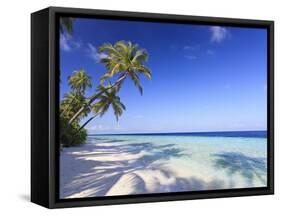 Maldives, Faafu Atoll, Filitheyo Island-Michele Falzone-Framed Stretched Canvas