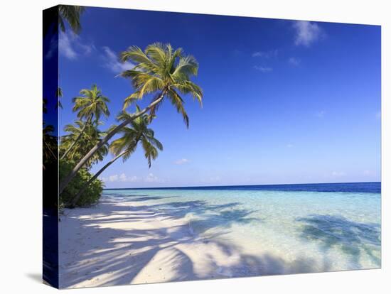 Maldives, Faafu Atoll, Filitheyo Island-Michele Falzone-Stretched Canvas