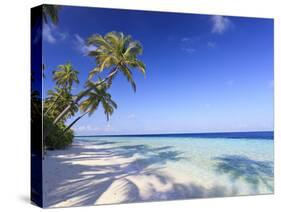 Maldives, Faafu Atoll, Filitheyo Island-Michele Falzone-Stretched Canvas