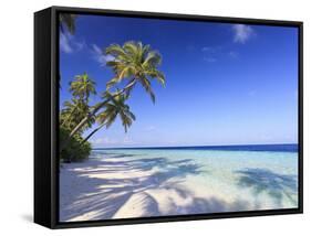 Maldives, Faafu Atoll, Filitheyo Island-Michele Falzone-Framed Stretched Canvas