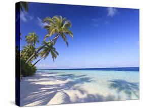 Maldives, Faafu Atoll, Filitheyo Island-Michele Falzone-Stretched Canvas