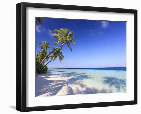 Maldives, Faafu Atoll, Filitheyo Island-Michele Falzone-Framed Premium Photographic Print