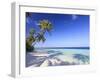 Maldives, Faafu Atoll, Filitheyo Island-Michele Falzone-Framed Premium Photographic Print