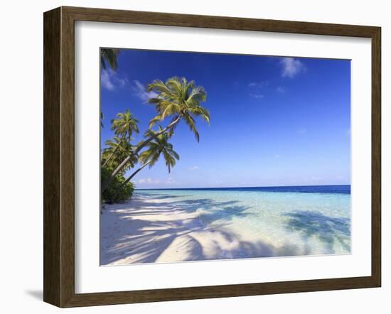 Maldives, Faafu Atoll, Filitheyo Island-Michele Falzone-Framed Photographic Print