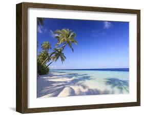 Maldives, Faafu Atoll, Filitheyo Island-Michele Falzone-Framed Photographic Print