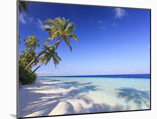 Maldives, Faafu Atoll, Filitheyo Island-Michele Falzone-Mounted Photographic Print