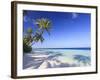 Maldives, Faafu Atoll, Filitheyo Island-Michele Falzone-Framed Photographic Print