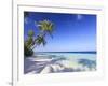 Maldives, Faafu Atoll, Filitheyo Island-Michele Falzone-Framed Photographic Print