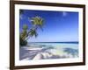 Maldives, Faafu Atoll, Filitheyo Island-Michele Falzone-Framed Photographic Print