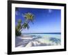 Maldives, Faafu Atoll, Filitheyo Island-Michele Falzone-Framed Photographic Print