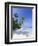 Maldives, Faafu Atoll, Filitheyo Island-Michele Falzone-Framed Premium Photographic Print