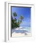 Maldives, Faafu Atoll, Filitheyo Island-Michele Falzone-Framed Premium Photographic Print