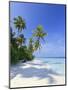 Maldives, Faafu Atoll, Filitheyo Island-Michele Falzone-Mounted Premium Photographic Print