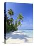 Maldives, Faafu Atoll, Filitheyo Island-Michele Falzone-Stretched Canvas