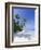 Maldives, Faafu Atoll, Filitheyo Island-Michele Falzone-Framed Photographic Print