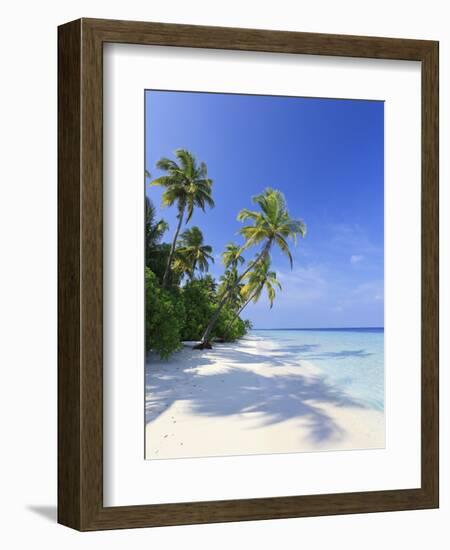 Maldives, Faafu Atoll, Filitheyo Island-Michele Falzone-Framed Photographic Print