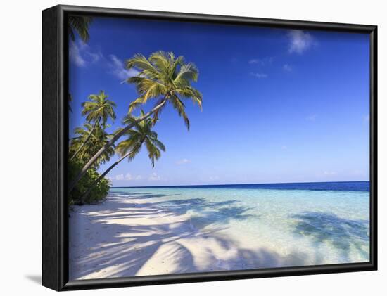 Maldives, Faafu Atoll, Filitheyo Island-Michele Falzone-Framed Photographic Print