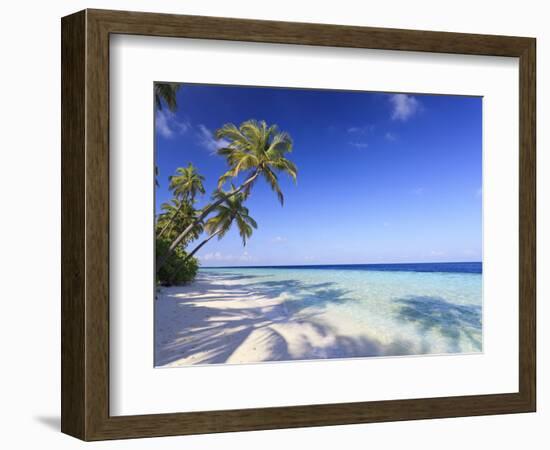 Maldives, Faafu Atoll, Filitheyo Island-Michele Falzone-Framed Photographic Print