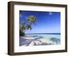 Maldives, Faafu Atoll, Filitheyo Island-Michele Falzone-Framed Photographic Print